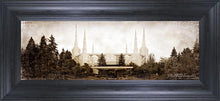 Load image into Gallery viewer, Portland Vintage
