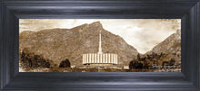 Load image into Gallery viewer, Provo Vintage
