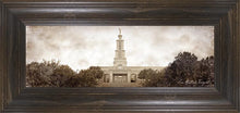 Load image into Gallery viewer, San Antonio Vintage
