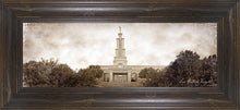 Load image into Gallery viewer, San Antonio Vintage
