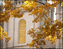 Load image into Gallery viewer, Salt Lake Autumn Leaves
