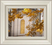 Load image into Gallery viewer, Salt Lake Autumn Leaves
