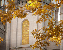 Load image into Gallery viewer, Salt Lake Autumn Leaves
