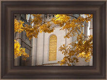 Load image into Gallery viewer, Salt Lake Autumn Leaves
