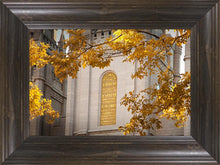 Load image into Gallery viewer, Salt Lake Autumn Leaves
