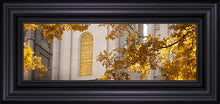Load image into Gallery viewer, Salt Lake Autumn Leaves
