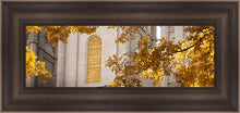 Load image into Gallery viewer, Salt Lake Autumn Leaves
