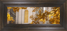 Load image into Gallery viewer, Salt Lake Autumn Leaves
