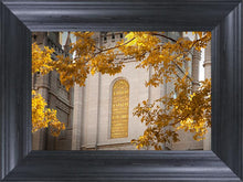 Load image into Gallery viewer, Salt Lake Autumn Leaves
