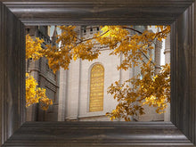 Load image into Gallery viewer, Salt Lake Autumn Leaves
