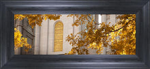 Load image into Gallery viewer, Salt Lake Autumn Leaves
