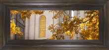 Load image into Gallery viewer, Salt Lake Autumn Leaves
