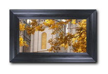 Load image into Gallery viewer, Salt Lake Autumn Leaves
