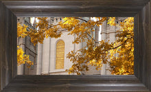 Load image into Gallery viewer, Salt Lake Autumn Leaves
