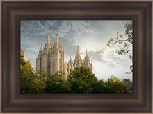 Load image into Gallery viewer, Salt Lake Early Evening
