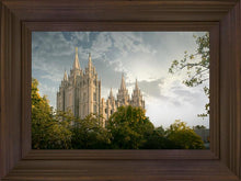 Load image into Gallery viewer, Salt Lake Early Evening
