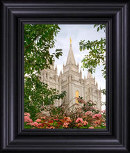 Load image into Gallery viewer, Salt Lake Mid-Summer Garden
