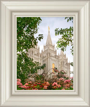 Load image into Gallery viewer, Salt Lake Mid-Summer Garden
