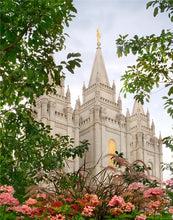 Load image into Gallery viewer, Salt Lake Mid-Summer Garden
