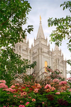 Load image into Gallery viewer, Salt Lake Mid-Summer Garden
