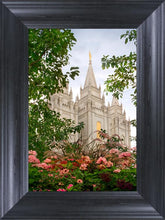 Load image into Gallery viewer, Salt Lake Mid-Summer Garden
