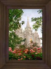 Load image into Gallery viewer, Salt Lake Mid-Summer Garden
