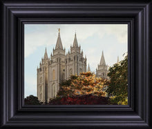 Load image into Gallery viewer, Salt Lake Summer Day
