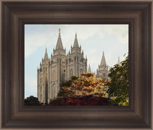 Load image into Gallery viewer, Salt Lake Summer Day
