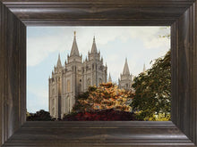 Load image into Gallery viewer, Salt Lake Summer Day

