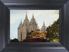 Load image into Gallery viewer, Salt Lake Summer Day
