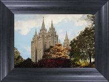 Load image into Gallery viewer, Salt Lake Summer Day
