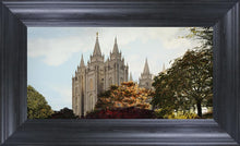 Load image into Gallery viewer, Salt Lake Summer Day
