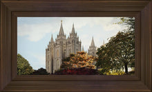 Load image into Gallery viewer, Salt Lake Summer Day
