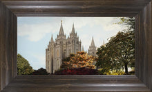 Load image into Gallery viewer, Salt Lake Summer Day

