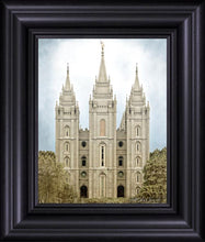 Load image into Gallery viewer, Salt Lake Aged Color
