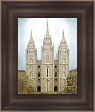 Load image into Gallery viewer, Salt Lake Aged Color

