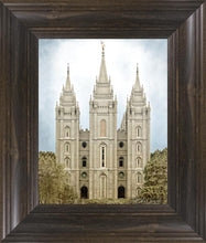 Load image into Gallery viewer, Salt Lake Aged Color

