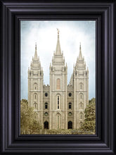 Load image into Gallery viewer, Salt Lake Aged Color
