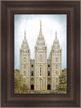 Load image into Gallery viewer, Salt Lake Aged Color

