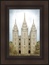 Load image into Gallery viewer, Salt Lake Aged Color
