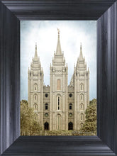 Load image into Gallery viewer, Salt Lake Aged Color
