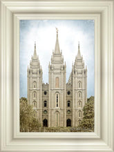 Load image into Gallery viewer, Salt Lake Aged Color
