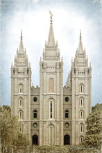 Load image into Gallery viewer, Salt Lake Aged Color
