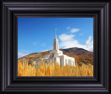Load image into Gallery viewer, Draper Wheat Field
