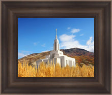 Load image into Gallery viewer, Draper Wheat Field
