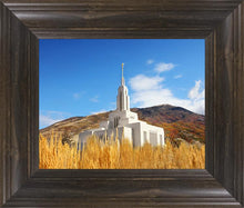 Load image into Gallery viewer, Draper Wheat Field
