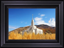 Load image into Gallery viewer, Draper Wheat Field
