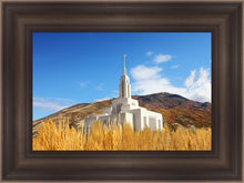 Load image into Gallery viewer, Draper Wheat Field
