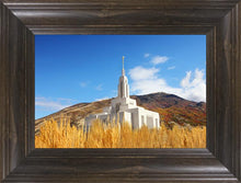 Load image into Gallery viewer, Draper Wheat Field
