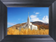 Load image into Gallery viewer, Draper Wheat Field
